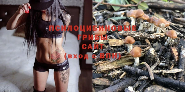 PSILOCYBIN Дмитровск