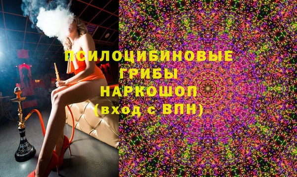 PSILOCYBIN Дмитровск