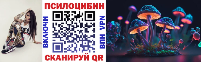 Купить закладки  Нелидово  Галлюциногенные грибы Psilocybine cubensis 